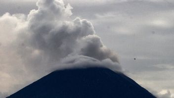 Gunung Semeru Erupsi, Hujan Abu Bikin Kondisi Gelap Gulita di Lumajang
