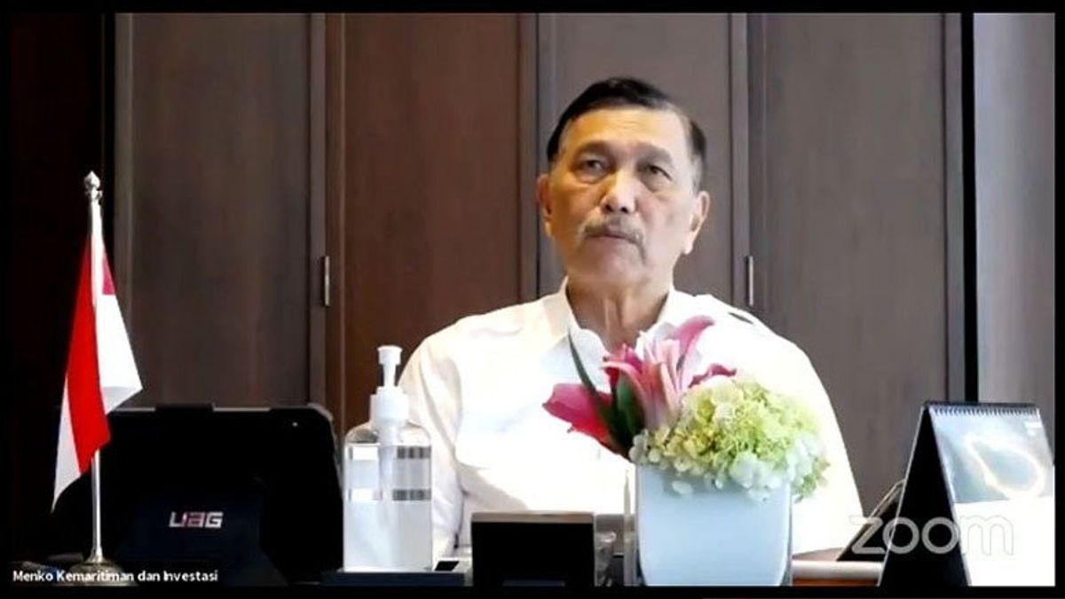Not Someone Else, Luhut Should Clarify Himself About Alleged PCR Business Involvement