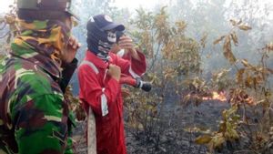 Potensi Kebakaran Hutan, Pemkab OKU Sulsel Waspadai Musim Kemarau