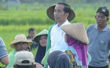 Jokowi Pernah Janji Pecat Mentan Jika Gagal Swasembada Kedelai