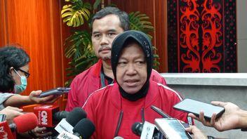 Namanya Berpotensi Maju di Pilkada DKI Jakarta, Risma: Jabatan Itu Tidak Boleh Diminta