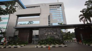 Anggota Komisi VI DPR Sentil PLN, Minta PMN Jumbo tapi Kerap Bermasalah