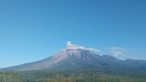 Mount Semeru 2 Times Eruption Saturday Morning