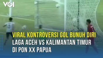 VIDEO: East Kalimantan Vs Aceh Elephant Football Viral At PON Papua