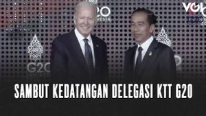 VIDEO: Senyum Presiden Jokowi Sambut Delegasi KTT G20