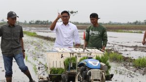 Poursuivant l’objectif de Swasembada Aliments du président Prabowo, Wamentan Sudaryono révèle la stratégie qui sera mise en œuvre