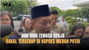 Koperasi Desa Merah Putih Bakal Serap 800 Ribu Tenaga Kerja, Menkop: Kalau Sudah Operasional