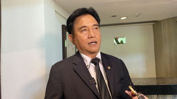 ユスリル副大臣:学者は政府を批判する自由
