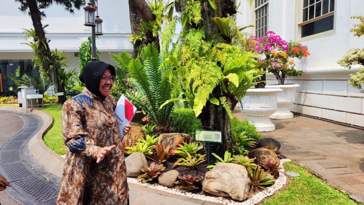 Risma Hadiri Rapat Kabinet di Istana di Tengah Isu Mundur dari Mensos