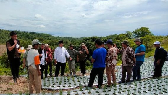 IPB Professor: Benahi Before Agricultural Fields Before The Form Of The Food Estate Special Committee