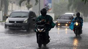 9 Provinsi Diprediksi Hujan Disertai Petir Hari Ini, Cek Lokasinya