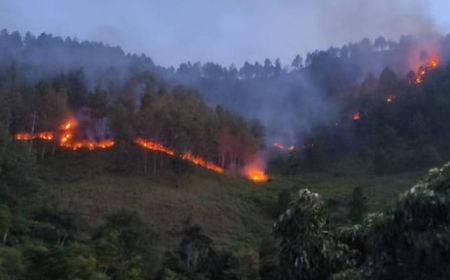 Tim Gabungan Padamkan Kebakaran Hutan Siarubung Samosir