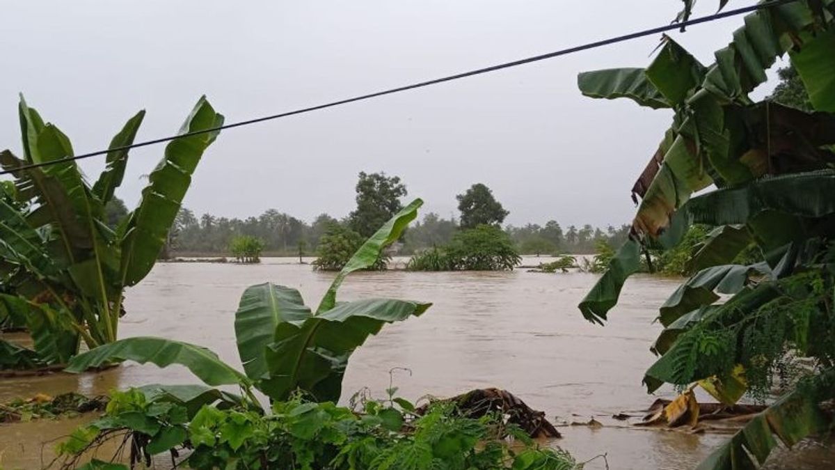 Inondation de trois mètres dans la régence de Luwu Renggut 14 jiwa