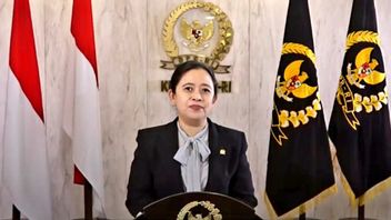 Puan Maharani Called The Determination Of Megawati Soekarnoputri's Chinese New Year Holiday