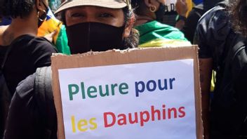 Thousands Of People In Mauritius Demonstrate The Mysterious Death Of 40 Dolphins In Their Sea