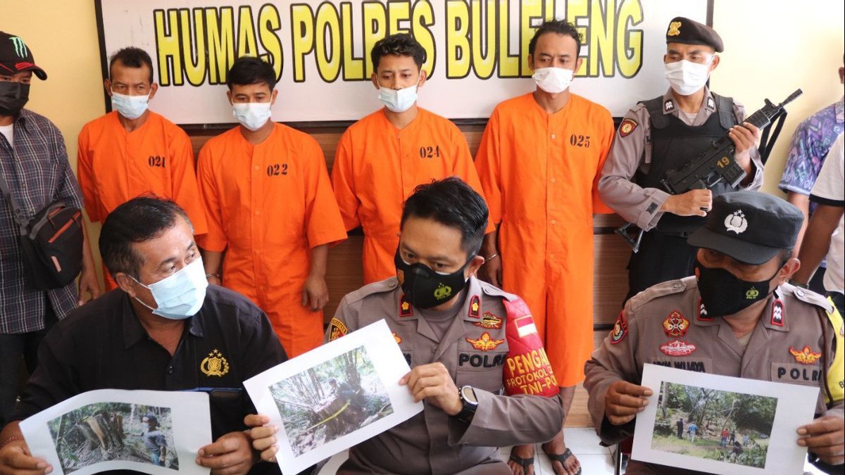 Polisi Ringkus Komplotan Penebang Liar di Hutan Buleleng 