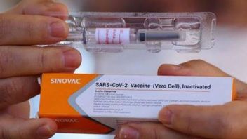 Four Viral Facts About Sinovac Vaccine And Doubts Indonesian Public