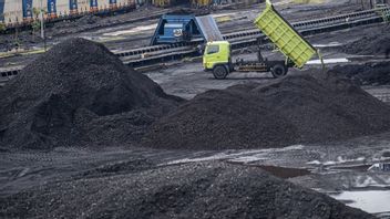 Pasokan LNG Terganggu, Asia Balik Lagi ke Batu Bara