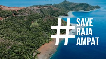 Tagar Save Raja Ampat Menggema, Ancaman bagi Surga Terakhir di Bumi