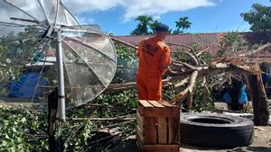 Aceh Barat Ditiup Angin Kencang, Puluhan Rumah Rusak Tertimpa Pohon