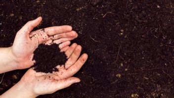 Tanah Aluvial, les sols les plus fertiles pour l'agriculture