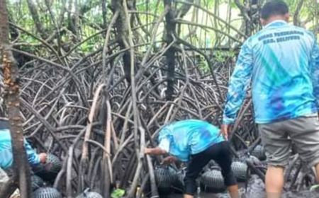 Mahal di Pasaran, Dinas Perikanan Belitung Latih Masyarakat Budi Daya Kepiting Bakau