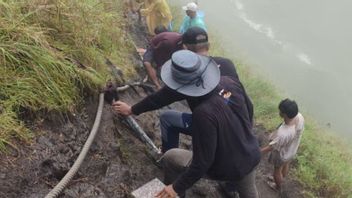 Balai TNGR Perbaiki Jalur Pendakian Gunung Rinjani via Torean