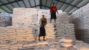 Realisasi Penyaluran Pupuk Subsidi Capai 2,8 Juta Ton