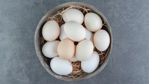 カンプン鶏卵の6つの利点は生存しており、効果的ですが注意して消費します