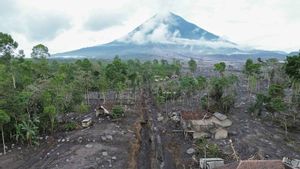 Badan Geologi Kerahkan Tim Drone dan Ahli Pantau Gunung Semeru