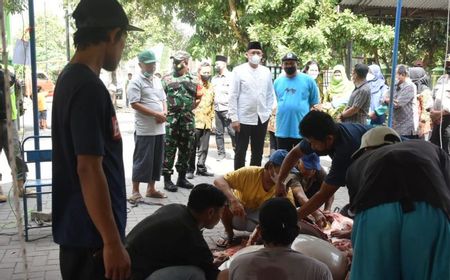 Satu Hewan Kurban di Sleman, Yogyakarta Ditemukan Bergejala PMK