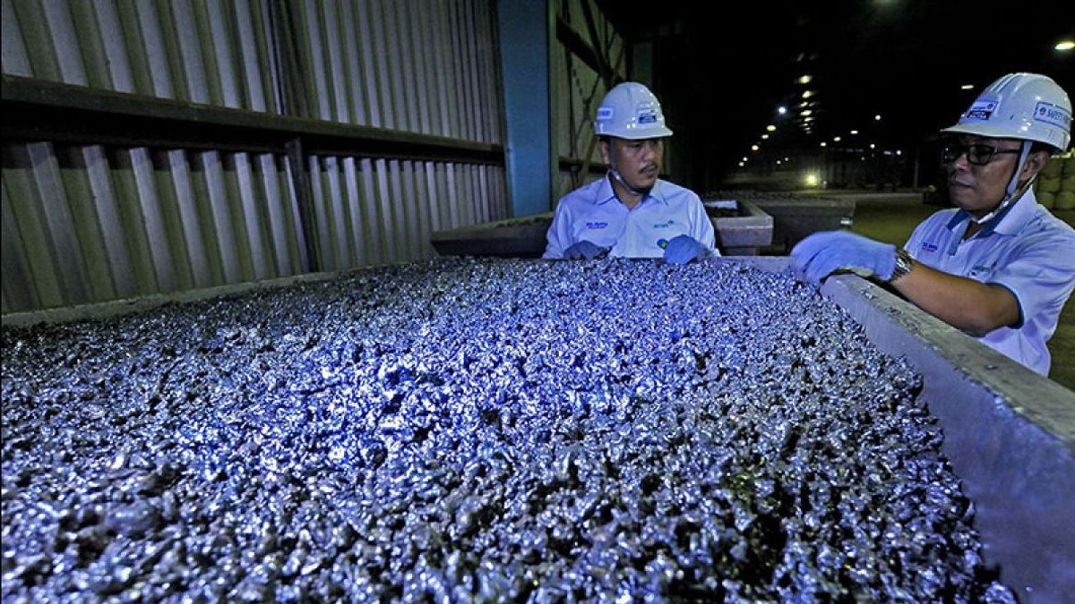 Pemerintah Diminta Tinjau dan Kembali Naikkan Kuota Produksi Batu bara dan Nikel