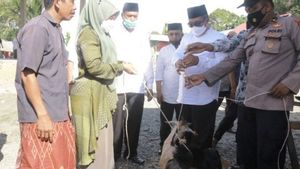 Pemkab Aceh Barat Serahkan Bansos Ternak kepada Kelompok Tani Desa Kuala Manyeu