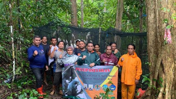 BKSDA Releases 150 Maluku Endemic Animals