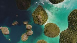 Voici pourquoi Raja Ampat devrait se rendre en 2025