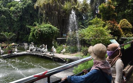 Tutup Saat Lebaran Pertama, Besok Ragunan Dibuka Tapi Khusus Warga Jakarta