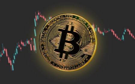 Harga Bitcoin Diprediksi Turun ke 13.000 Dolar AS, Menurut Peter Brandt