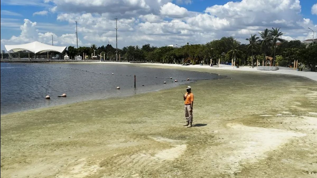 Ancol Bakal Reklamasi 65 Hektare, Tak Gunakan APBD 