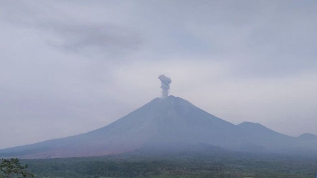 Semeru Erupsi 3 Kali Jelang Tahun Baru 2026, Letusan Capai 900 Meter