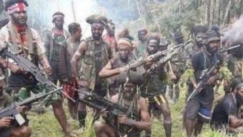 Burn Bangungan To Shoot Ojek Driver, KKB Members Involved In Dozens Of Terrors In Puncak Papua Arrested!