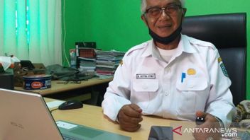 DKPP Belitung Data Sapi Potong; Capai 400 Ekor dan Akan Ditingkatkan Jelang Idulfitri 