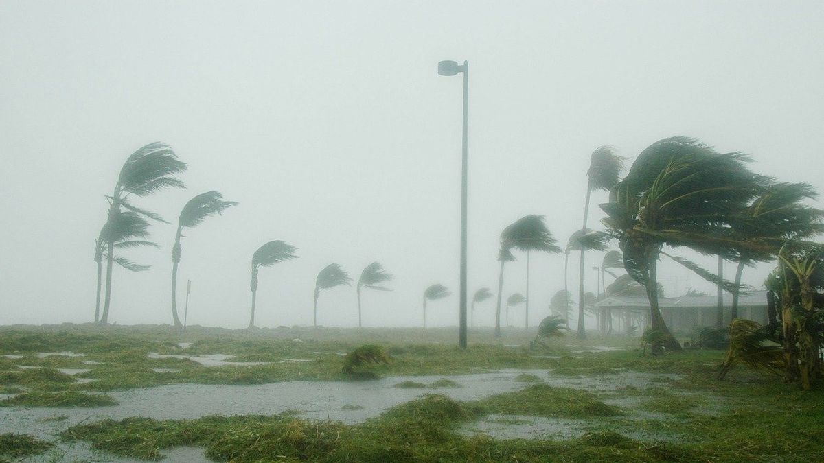 Prakiraan Cuaca Maluku  Hari Ini, BMKG: Waspada Angin Kencang!