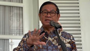 Penjualan Daging dan Jagal Anjing-Kucing di Jakarta Resmi Dilarang, Pelanggar Disanksi Teguran Hingga Pencabutan Izin