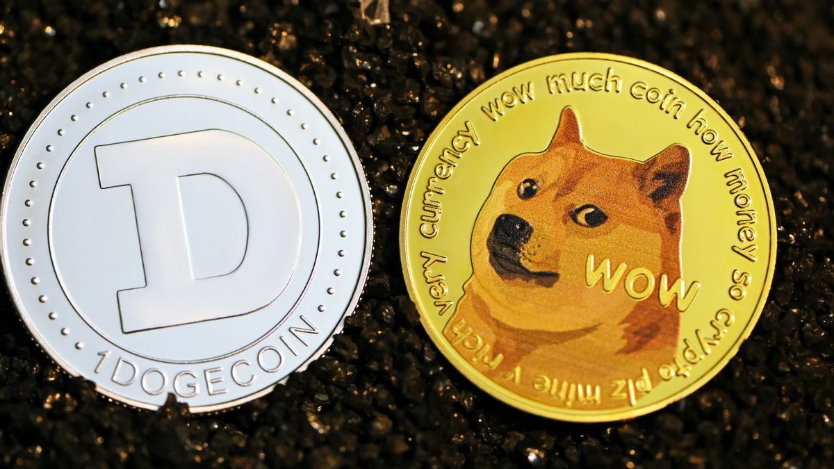 Flying DOGE, This Is The Latest Development Of Dogecoin You Didn't Know!