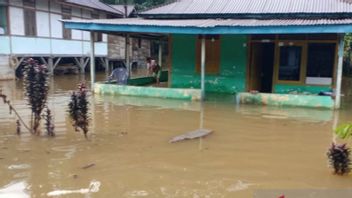 BPBD Recorded 1,407 Houses/Buildings In Bengkulu Was Submerged By Floods, Losses Reached Rp970 Million