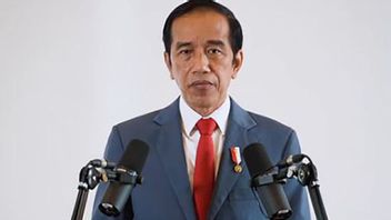 Jokowi: Potensi Ekonomi Hijau dari Pengembangan Kelapa Beri Peluang Besar bagi Indonesia