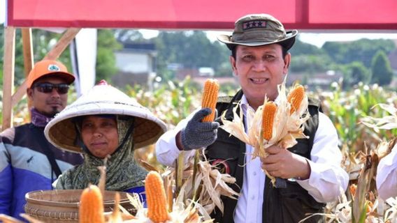 Program Deradikalisasi di Malang Berhasi, Masyarakat Bisa Panen Raya Jagung 