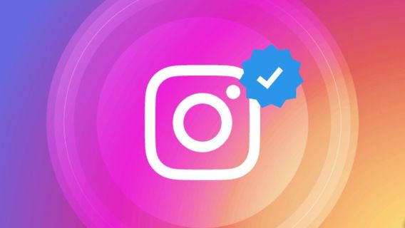 How To Verify Instagram Account To Get Blue Tick Next To Account Name