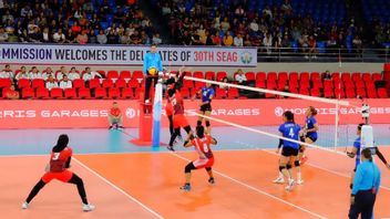 Volleyball Sports: History, Rules And Rules Of The Game