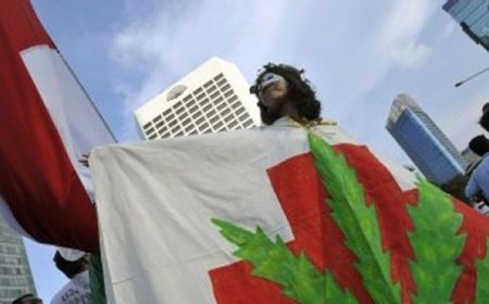 Respons Komisi Kesehatan dan Hukum soal MK Tolak Ganja untuk Medis